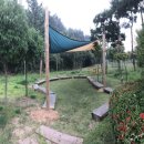 유아숲체험원(2) 이미지