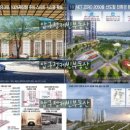 압구정-114 이미지