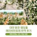 전*식 - 미추홀구 매소홀로 520 | 대전 그리너리한 밝은 웨딩홀 메리비아포레, 뷔페 전메뉴 포함 하객 후기