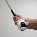 주식회사더골프 이미지