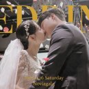 주식회사 플랜앤플레이 | 비교 정리 🎥✨ (다가가다, 기록, 르모먼트필름,낭만영화, 지니필름, 에그플랜, 브라운셔터, 플레이앤웨딩)