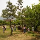 안명초등학교 이미지