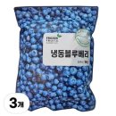 이안 이미지