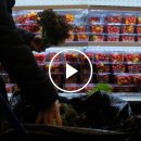 Song Long Food 이미지