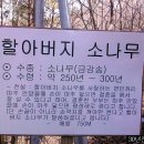 약초향기 이미지
