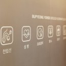 연세피부비뇨기과 이미지