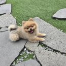 보드게임아지트