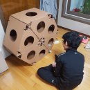 코코캣 | 코코캣 노리터 - 고양이 박스 놀이터 구매후기