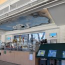 안마을공원 (옥외1) | 화랑대 철도공원 노원기차마을 기차가 있는 풍경 카페 후기 가격 위치 아이와 갈만한 곳