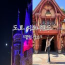 [2022/가을]일본어 못하는 사람의 도쿄여행 기록(디즈니랜드 꿀팁 말짱많음)