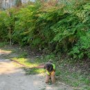 송정 박상진호수공원 미로물정원 이미지