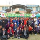 일로초등학교 Daum카페