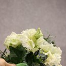 화훼장식기능사 이미지