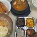 푸른솔 이미지