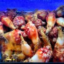 바다를 훔친 언니 이미지