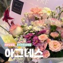 돌마로486번길 | 성남꽃집 아그네스 분당 서현동 꽃집 꽃다발 주문 후기