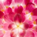 명옥헌한의원 이미지