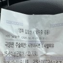 눈빛극장 | 주술회전 시부야사변 + 사멸회유 극장판 후기 | 쿠키영상