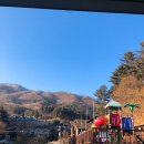 채록지 이미지