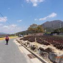 선두구동 주민센터 이미지