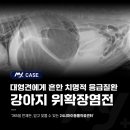 소로동물병원 이미지