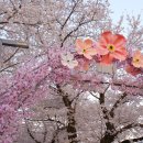 삼남읍주민자치센터 이미지