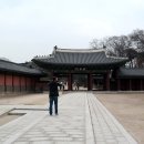 비원 Daum카페