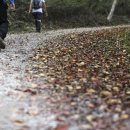 가장문화길 이미지