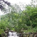 영운농장 이미지