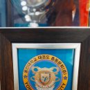 용인대용마태권도 이미지