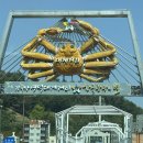 강구수산회대게센타 | 영덕 동광어시장 대게 가격 후기, 부모님이랑 다녀온 횟집