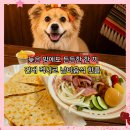 한아름뷔페식당 | 건대 포케웨이타코웨이 새벽까지 문여는 멕시코 맛집 훈제오리포케 바베큐 퀘사디아 내돈내산