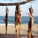 사천해변캠핑장