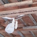 영화경로당 이미지