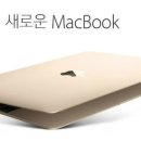 2파운드 이미지