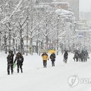 한파특보 이미지
