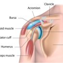 하늘튼튼한의원 이미지