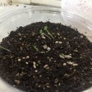 애니몰하우스 이미지