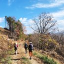 고개너머 동향길 이미지