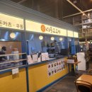 리틀모모야모모야 | 김포풍무 트레이더스 푸드코트 돈카츠 우동 전문점 리틀모모야 직접 방문한 후기