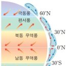 자연SCIENCE 이미지