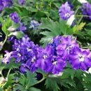 길카정비코너 이미지