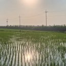 상운농장 이미지