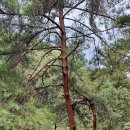 진수성찬 이미지