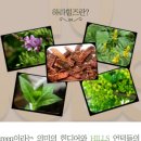 하라힐즈 - 광명시 | 하라힐즈