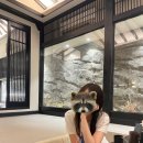 대광슈퍼 | 대구 여주현 후기 ⭐️넘좋음 강추⭐️(대구감성숙소,자쿠지,빔프로젝트)