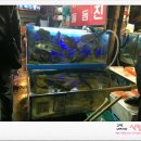 춘자수산 네이버블로그