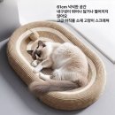 루시초이스