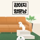 눈이튼튼 동물병원 이미지