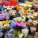 영신꽃화원 이미지